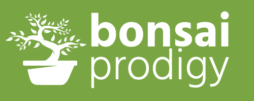 Bonsai Prodigy